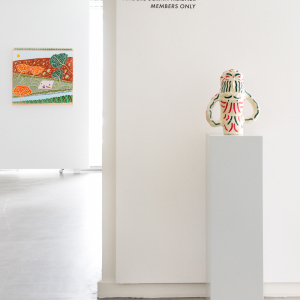 Installation view of the exhibition "Members Only" by Anders SCRMN Meisner at Hans Alf Gallery