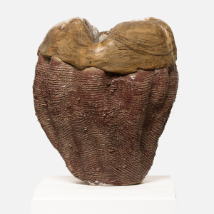 Astrid Specht Seeberg | Barrel Sponge Overgrown