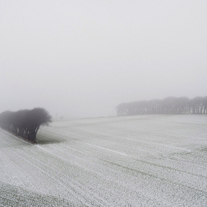 Læghegn i sne, Velsø, 2020