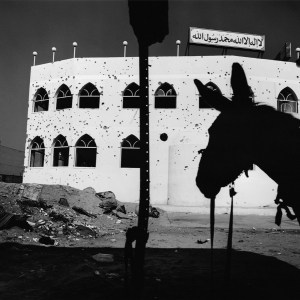 Krigens Landskab - Donkey in front of mosque - 2001