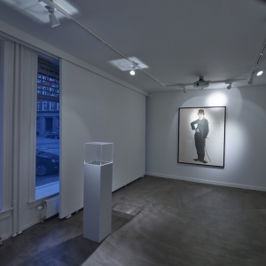 Installation view of the 2015 exhibition "Limbo" by Christian Lemmerz at Hans Alf Gallery