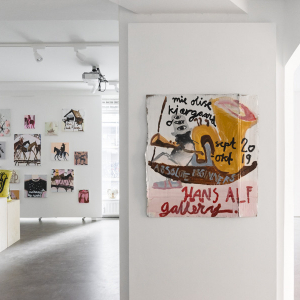 Installation view of the 2019 exhibition "Absolute Beginners" by Mie Olise Kjærgaard at Hans Alf Gallery