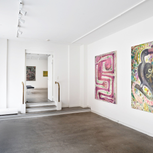 Installation view of the 2023 exhibition "Cakes and Caviar" by Anders Brinch at Hans Alf Gallery