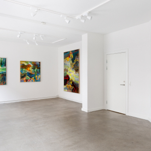 Installation view of the 2023 exhibition "The Void" by Magnus Fisker at Hans Alf Gallery