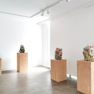 Installation view of the exhibition "Flesh" by Louise Hindsgavl at Hans Alf Gallery